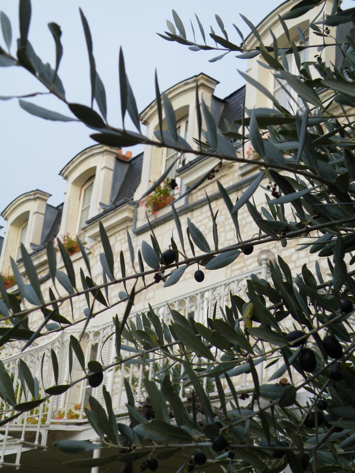 Hotel Diderot Chinon Bagian luar foto